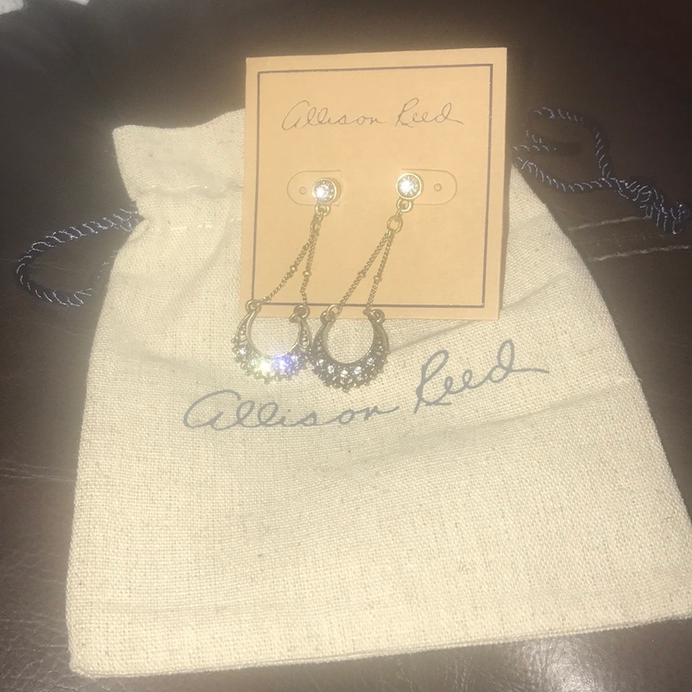 Allison Reed rustic earring New - Picture 2 of 4